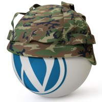 wp security